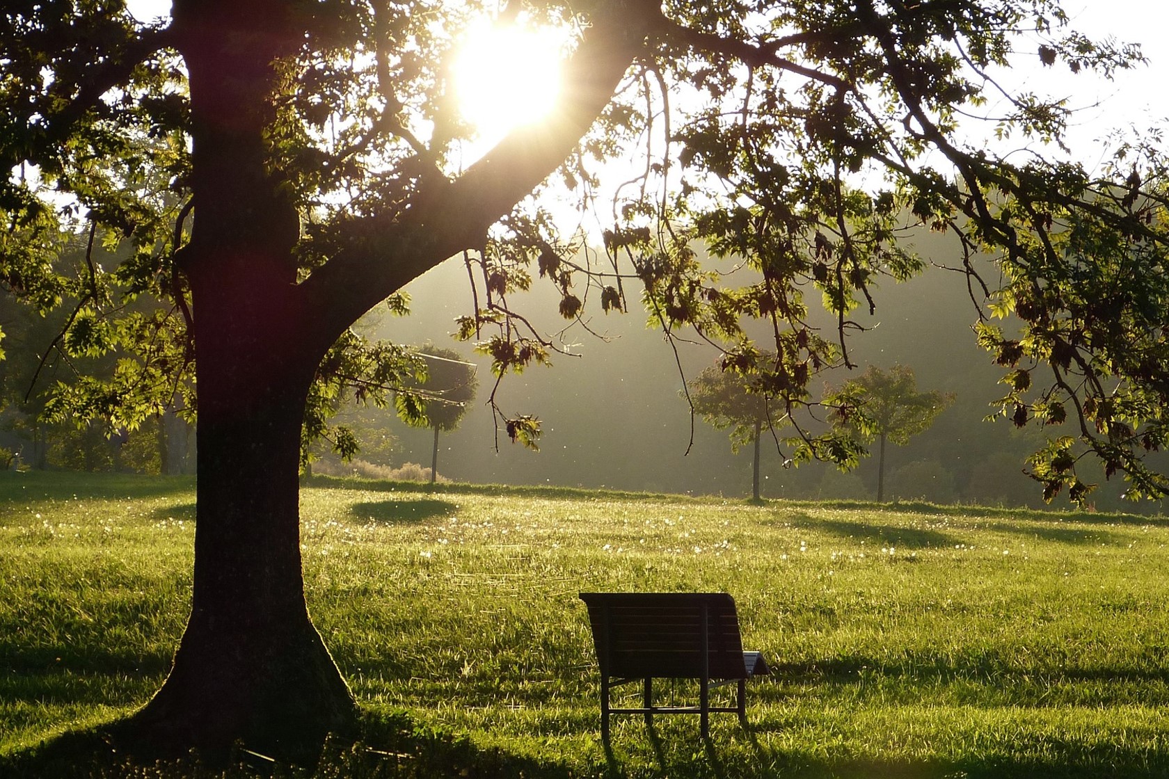 Natur Heimat